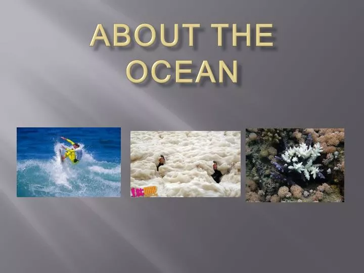 about the ocean