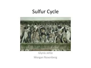 Sulfur Cycle