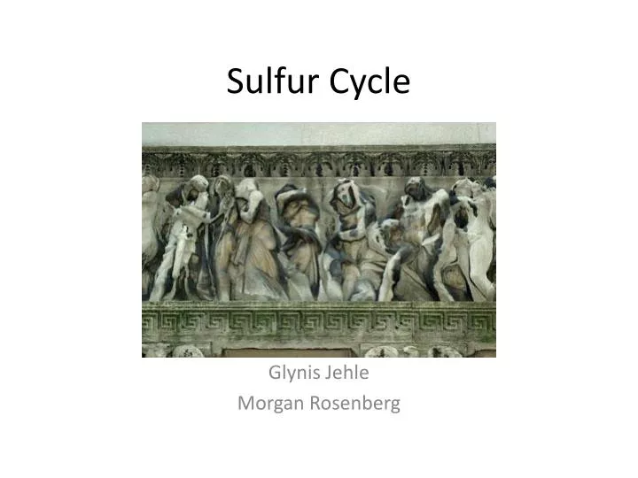 sulfur cycle