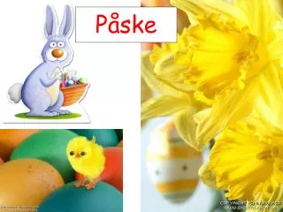 p ske