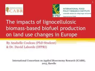 The impacts of lignocellulosic biomass-based biofuel production on land use changes in Europe