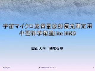 lite bird
