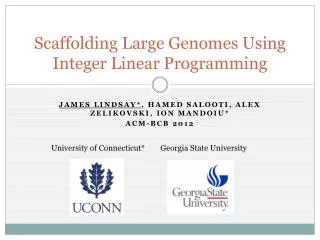 Scaffolding Large Genomes Using Integer Linear Programming