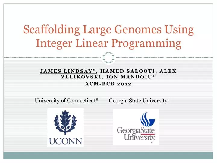 scaffolding large genomes using integer linear programming