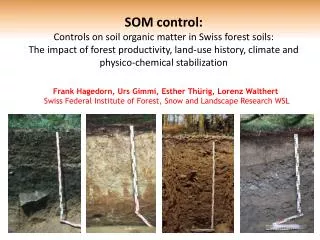 SOM control: Controls on soil organic matter in Swiss forest soils: