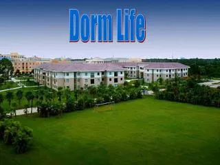 Dorm Life