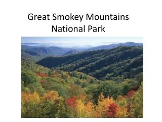 Great Smokey Mountains National Park