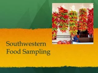 Southwestern Food Sampling