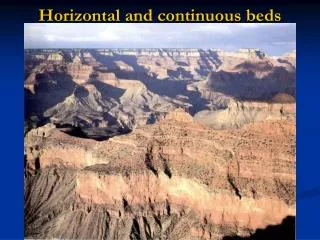 Horizontal and continuous beds