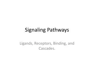 Signaling Pathways