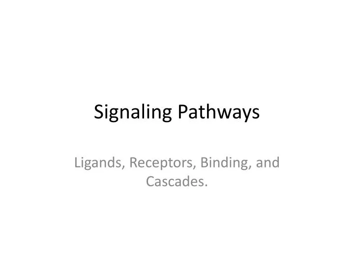 signaling pathways