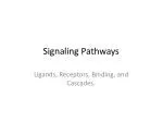 Signaling Pathways - slide 1