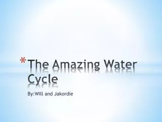 The Amazing Water C ycle