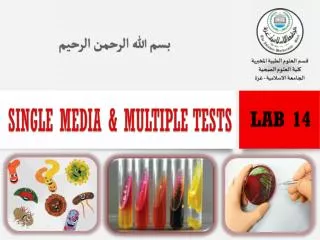Single Media &amp; Multiple Tests