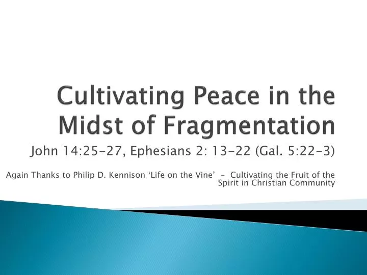 cultivating peace in the midst of fragmentation