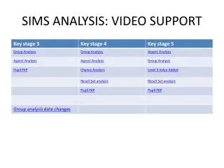 SIMS ANALYSIS: VIDEO SUPPORT