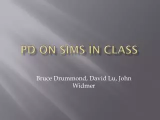 PD on sims in class