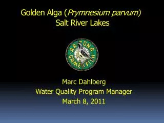 Golden Alga ( Prymnesium parvum ) Salt River Lakes