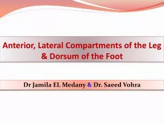 Anterior, Lateral Compartments of the Leg &amp; Dorsum of the Foot