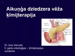 aiku a dziedzera v a mijterapija