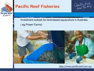 Investment outlook for land based aquaculture in Australia ( eg Prawn Farms)