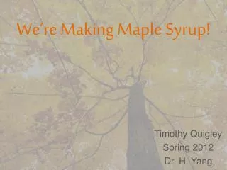 Timothy Quigley Spring 2012 Dr. H. Yang