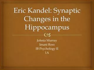 Eric Kandel: Synaptic Changes in the Hippocampus