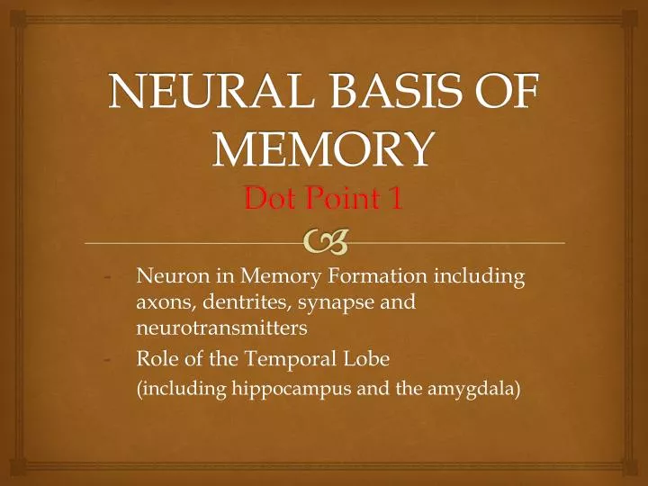 neural basis of memory dot point 1
