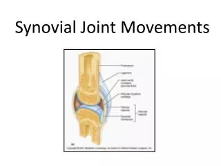 Synovial Joint Movements