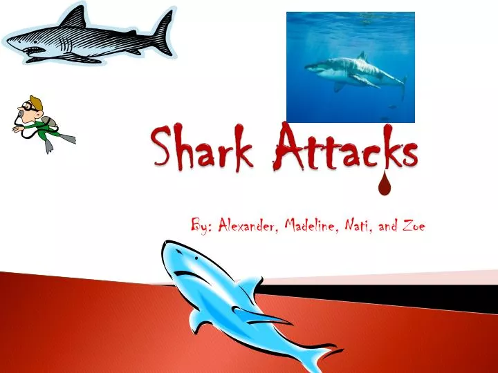 shark attacks