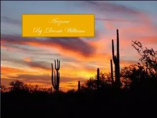 Arizona By :Deonte Williams