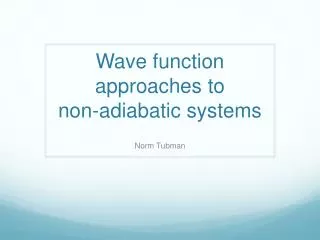 Wave function approaches to non-adiabatic systems