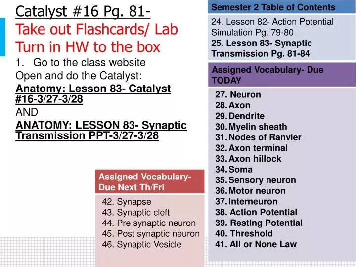 catalyst 16 pg 81 take out flashcards lab turn in hw to the box