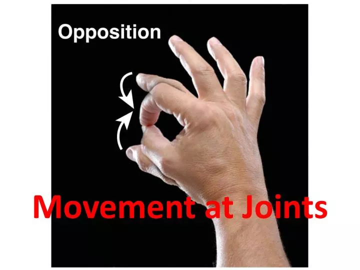 movement at joints