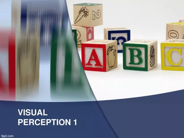 visual perception 1