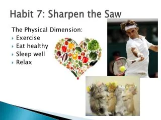 Habit 7: Sharpen the Saw