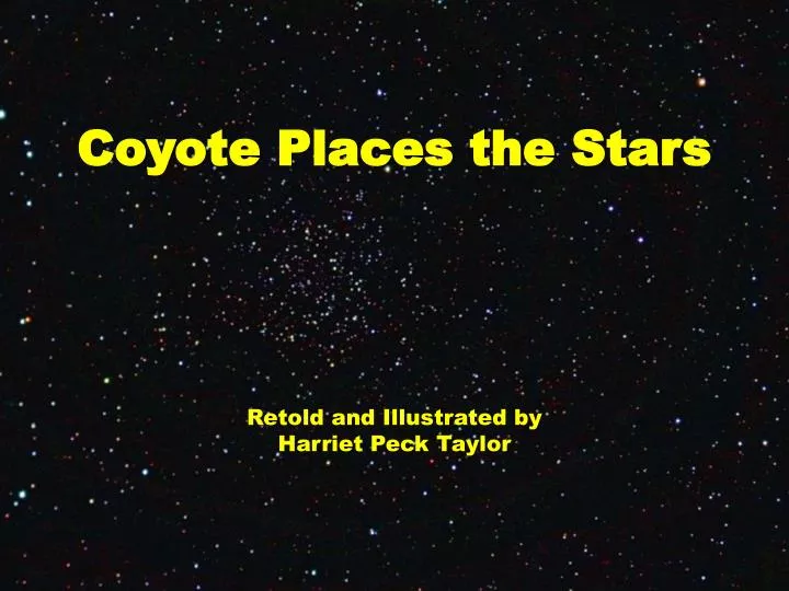 coyote places the stars