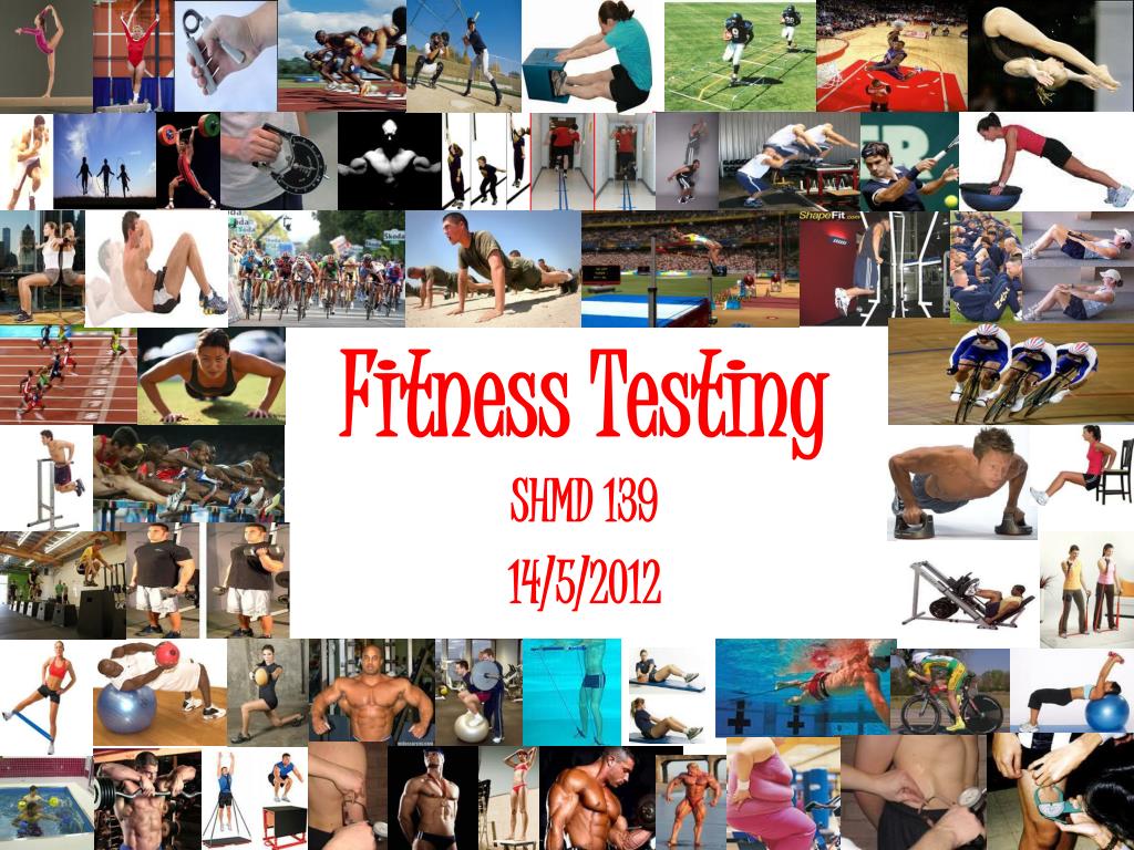 PPT - Fitness Testing PowerPoint Presentation, free download - ID:2504694