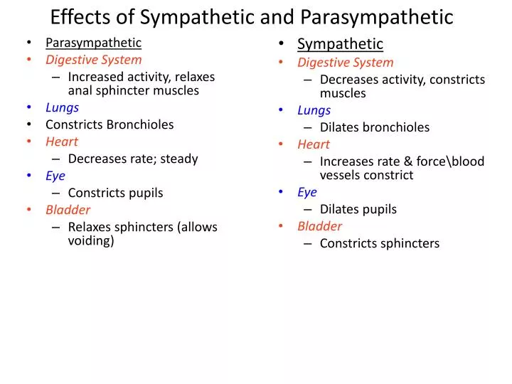 effects of sympathetic and parasympathetic