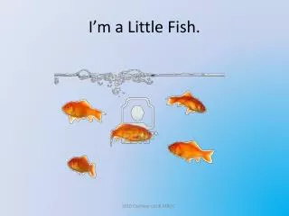 i m a little fish