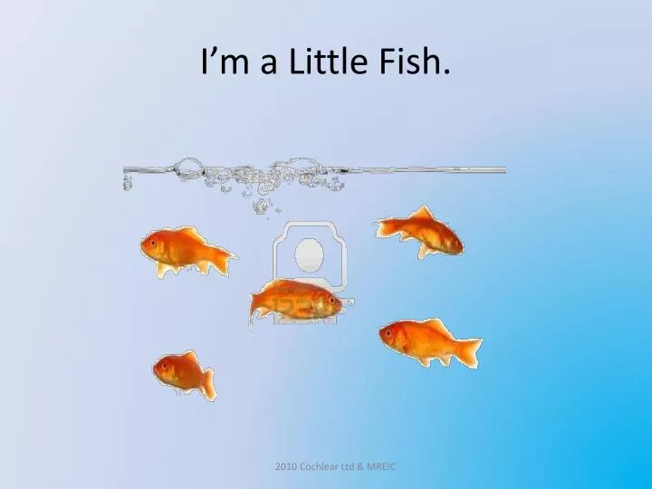 i m a little fish