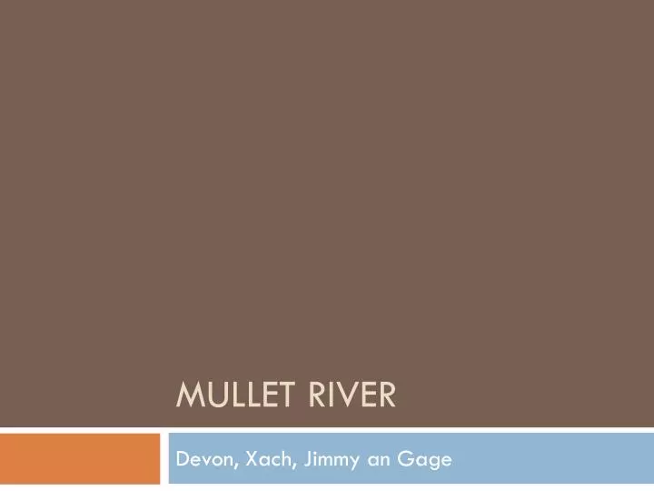 mullet river
