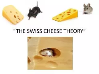 the swiss cheese theory