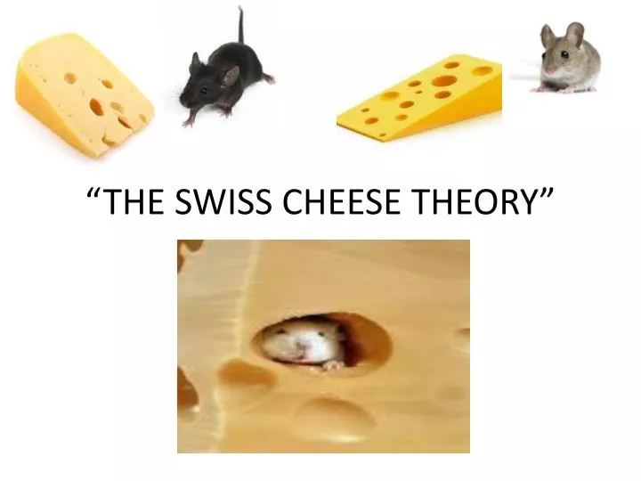 the swiss cheese theory