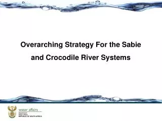 Overarching Strategy For the Sabie and Crocodile River Systems