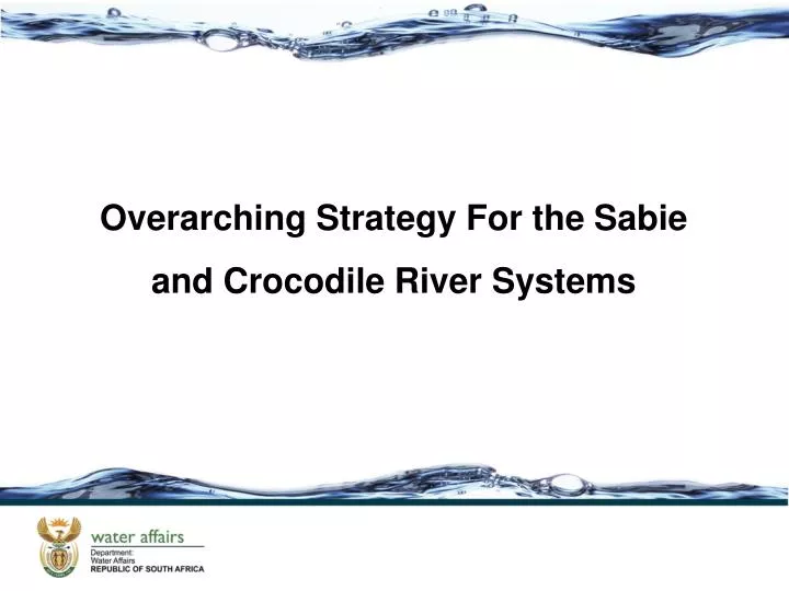 overarching strategy for the sabie and crocodile river systems