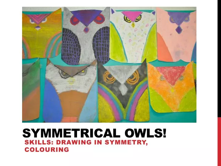 symmetrical owls