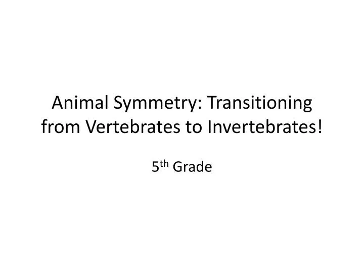 animal symmetry transitioning from vertebrates to invertebrates