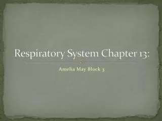 Respiratory System Chapter 13: