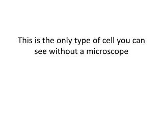This is the only type of cell you can see without a microscope